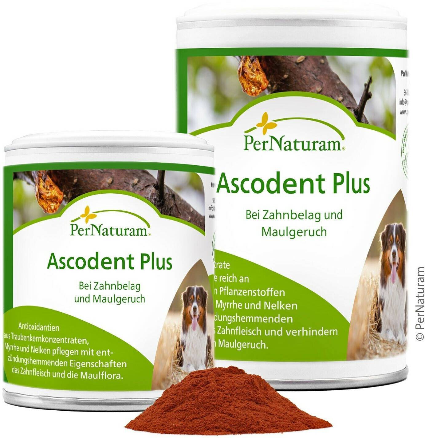 Pernaturam Ascodent Plus Bei Zahnbelag und Maulgeruch Pernaturam Ascodent Plus Bei Zahnbelag und Maulgeruch100g