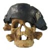 Zooplus Piraten Totenkopf 14x14x10cm Aquarium-Deko