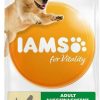 IAMS For Vitality Adult Large Dog - Chicken 2 x 12kg Hundefutter