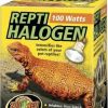 Zoo Med Repti Halogen Zoo Med Repti Halogen100 W (HB-100E)