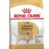 Royal Canin Breed Labrador Retriever Adult Trockenfutter Royal Canin Breed Labrador Retriever Adult Trockenfutter3kg