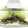 Fluval Edge 2.0 23L Fluval Edge 2.0 23Lweiß