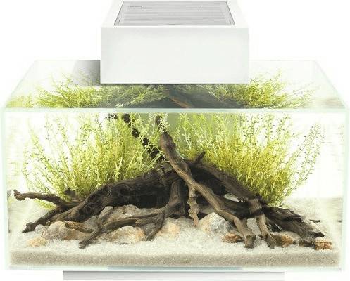 Fluval Edge 2.0 23L Fluval Edge 2.0 23Lweiß