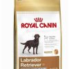 Royal Canin Breed Labrador Retriever Sterilised Trockenfutter3kg Royal Canin Breed Labrador Retriever Sterilised Trockenfutter