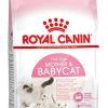 Royal Canin Feline Health Nutrition Mother & Babycat First Age Trockenfutter10kg Royal Canin Feline Health Nutrition Mother & Babycat First Age Trockenfutter