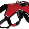 Ruffwear Web Master Ruffwear Web MasterL/XL red currant