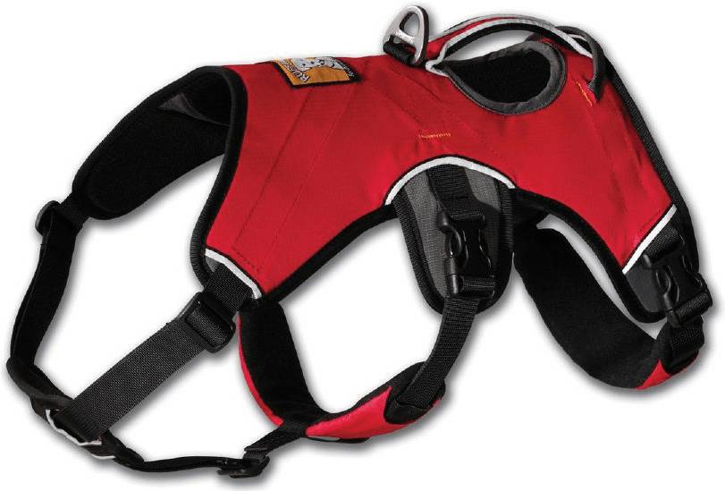 Ruffwear Web Master Ruffwear Web MasterL/XL red currant